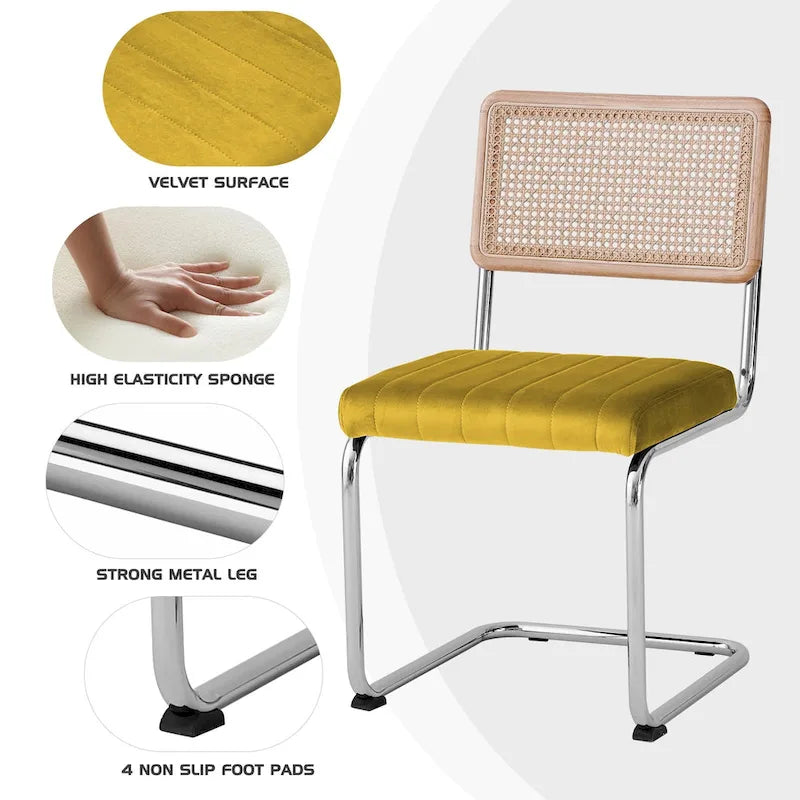 Lot de 2 chaises de salle à manger en rotin rembourrées de velours